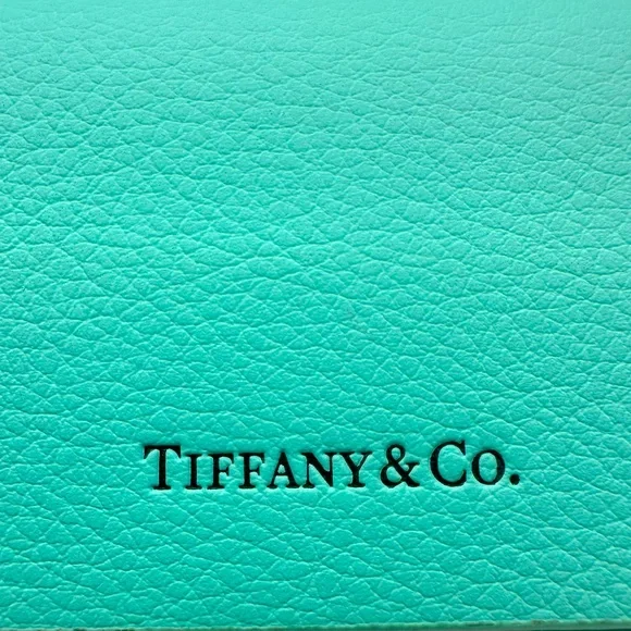 Tiffany & Co Eyeglass Sunglasses Case w/Magnetic Closure, Excellent Condition